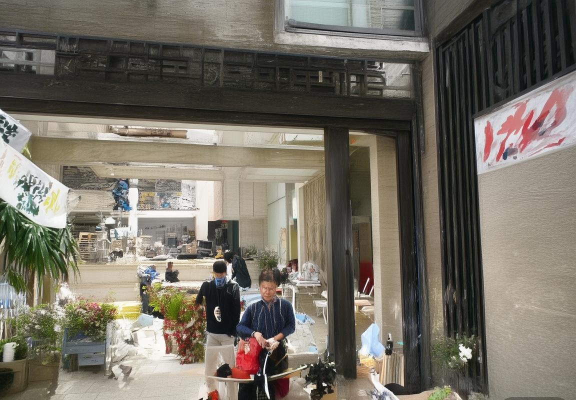 巴西VS法国：世界杯决赛战术对决解析(图1)